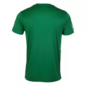 T-shirt for men DUNLOP Club M green/white