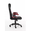 Игровое кресло ПК Raptor Gaming 437764 Photo 3