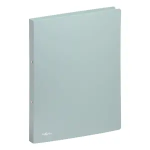 Pagna 20902-18 Ring Binder DIN A4 Mint 2-Ring 2.3 cm Spine