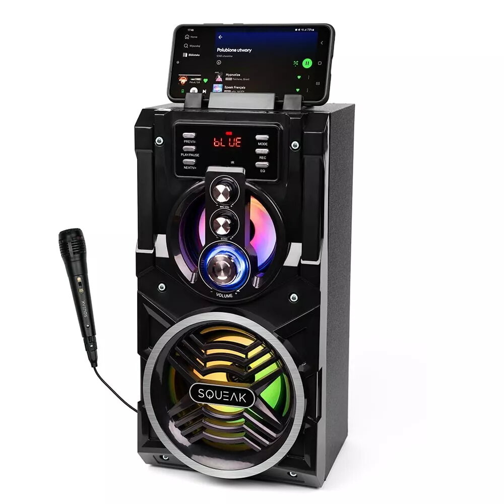 Portable Speakers