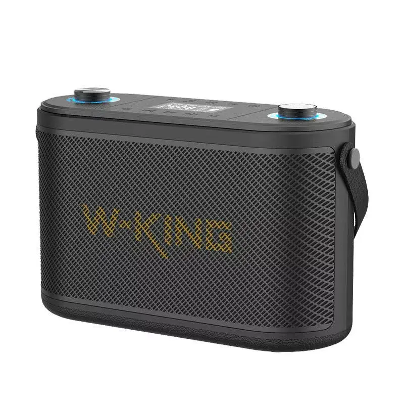 Портативная колонка W-KING H10, H10-black Photo 3