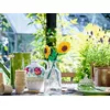 LEGO 40524 Iconic Sunflowers building set Photo 4