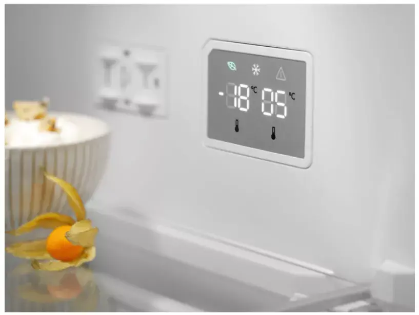 Холодильник Electrolux LNT7ME32M2 Photo 4