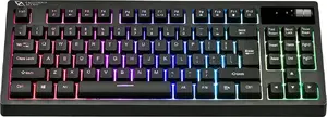 Tenkeyless Mechanical Keyboard California Access Korero CA1424 with RGB Lighting