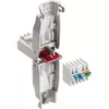 Techly IWP-8P8C-TLS6AT wire connector Photo 2
