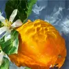 Guerlain Aqua Allegoria Orange Soleia 125 мл Photo 3