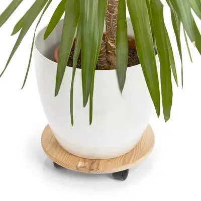 Plant stand ZELLER 13555 — pinewood 350×350 Photo 2