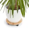 Plant stand ZELLER 13555 — pinewood 350×350 Photo 2