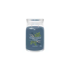 Candle Yankee Candle Bayside Cedar 157mm 567g 1pc