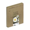 Картридж Epson T1806 Черный Желтый Голубой Пурпурный Photo 3