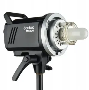 Studio Monolight Godox MS200 — Godox MS200 Monolight Flash (model 5709)