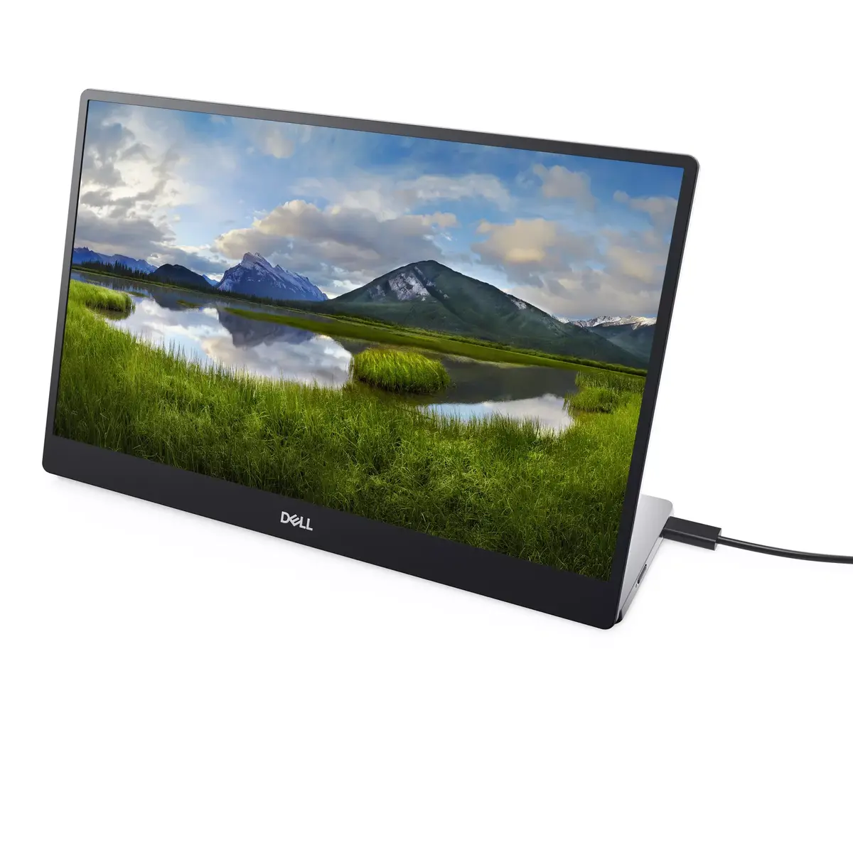 Monitors DELL P1424H Photo 7