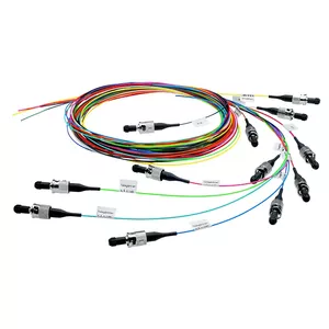 Telegärtner InfiniBand/оптоволоконный кабель 2 м 12x SC Многоцветный