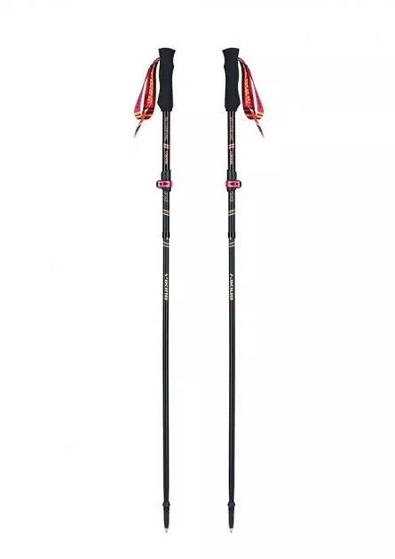 Takašanas nūjas Viking Kettera Pro Lady
