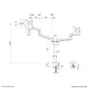 Двойной кронштейн для мониторов Neomounts DS60-425BL2 Photo 41