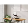 Настольный крепеж для ноутбука Neomounts DS20-425BL1 Photo 17