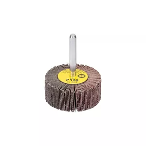 Flap Wheels Aluminium Oxide Bosch 5 cm 1609200288