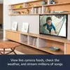 ТВ-приставка Amazon Fire TV Stick 4K Ultra HD Photo 6