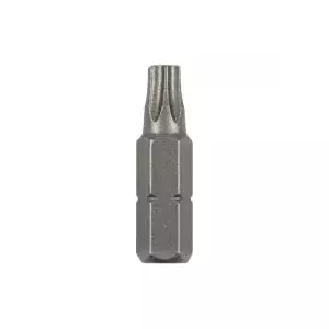 Torx bit Bosch T8 C 6.3, set of 2, compatible with 1/4" (6.3 mm) hex holders