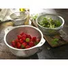 Сито ZWILLING Table 16 см Photo 3