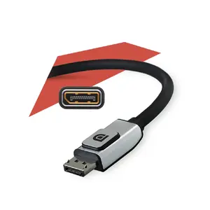 DisplayPort savienojums