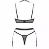 Obsessive Selinne 3 daļu apakšveļas komplekts, M/L Photo 6