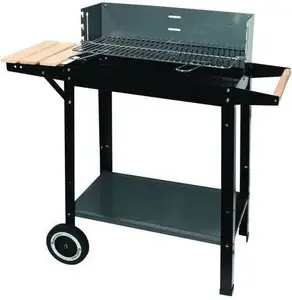Mangals uz oglēm Master Grill MG909, cepšanas restes 53×27 cm, pārnēsājams āra grils