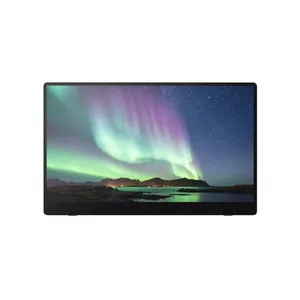Портативный монитор Ricoh Portable Monitor 150BW 15.6" LED 1920 x 1080