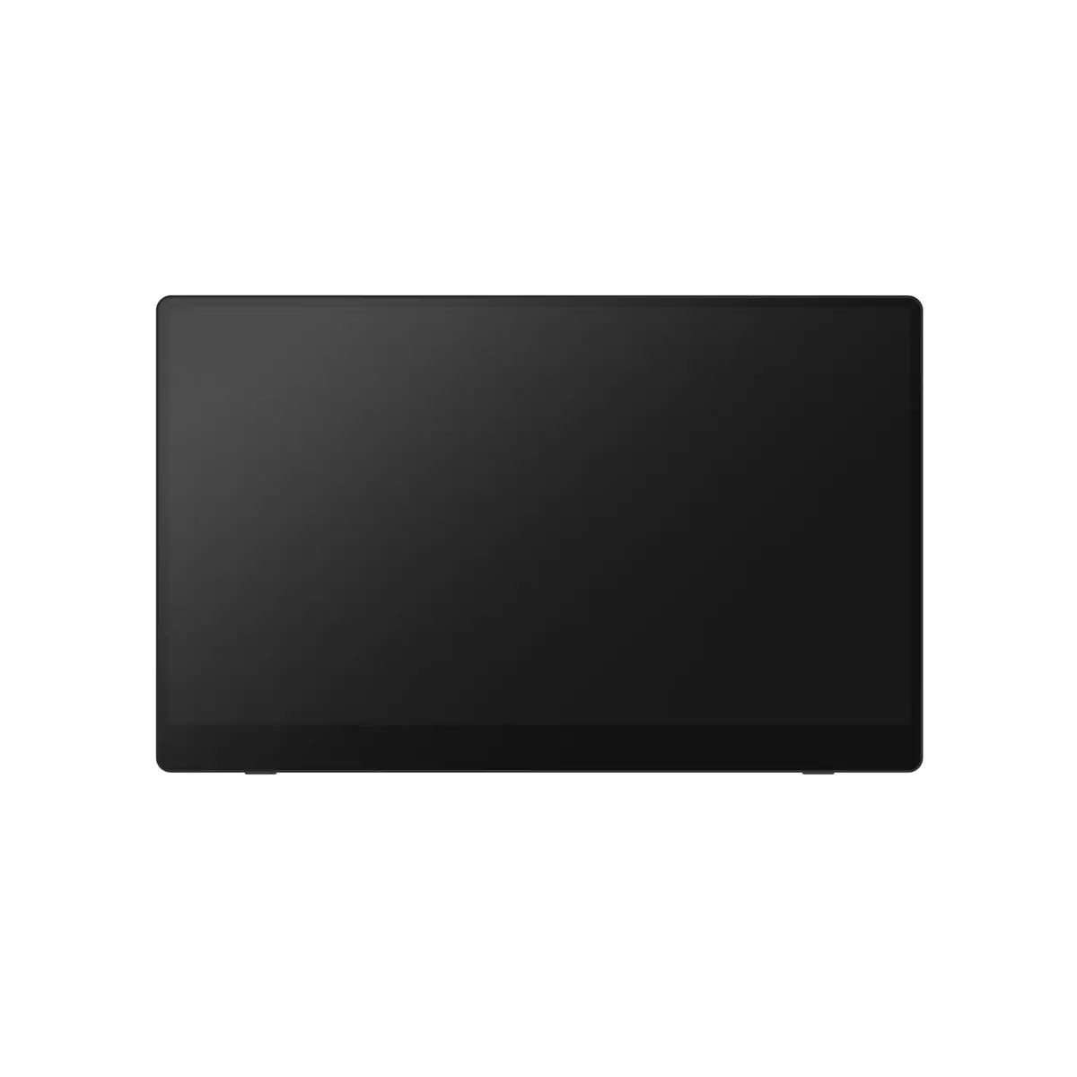 Портативный монитор Ricoh Portable Monitor 150BW Photo 2
