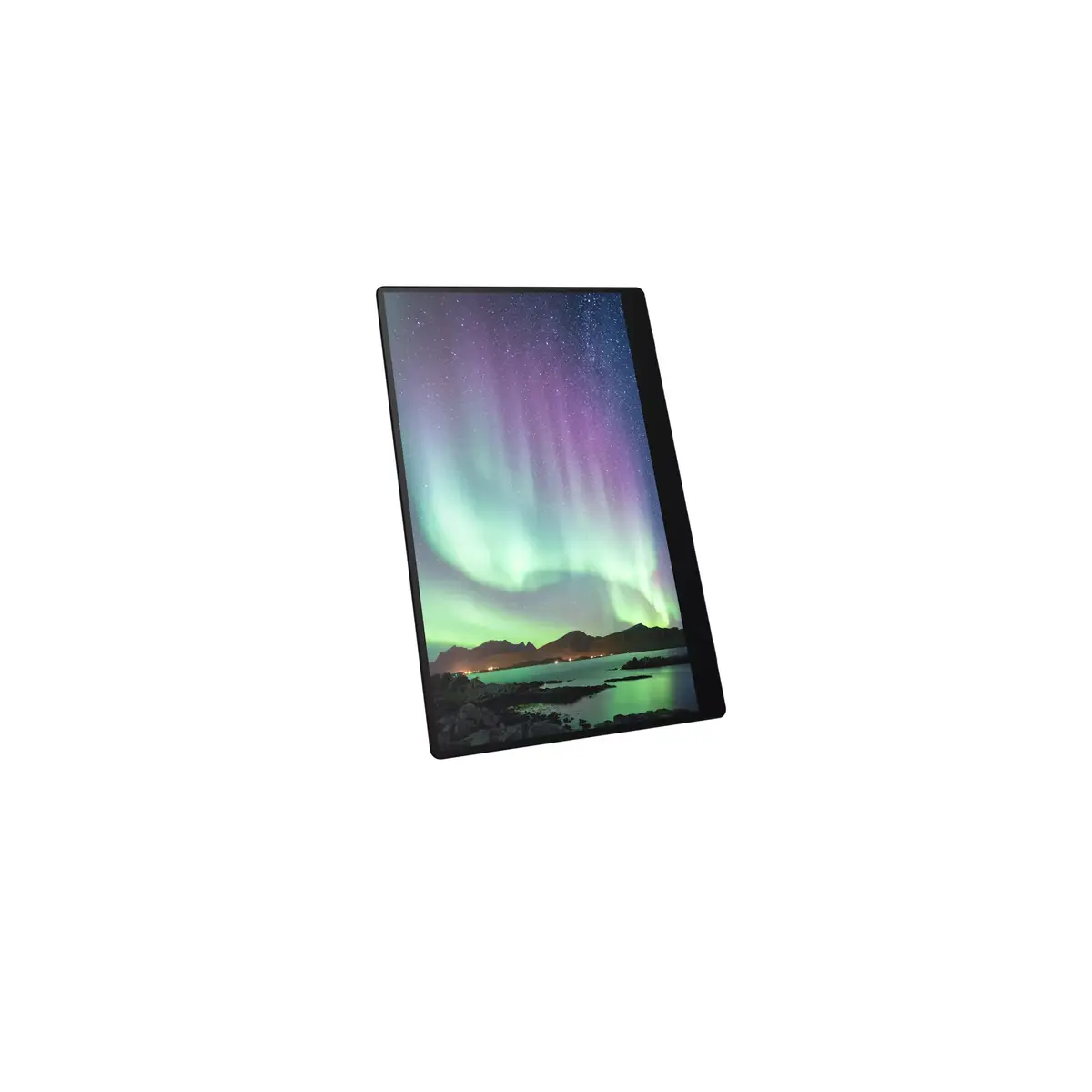 Портативный монитор Ricoh Portable Monitor 150BW Photo 3