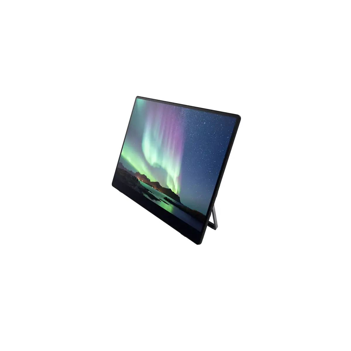 Портативный монитор Ricoh Portable Monitor 150BW Photo 5