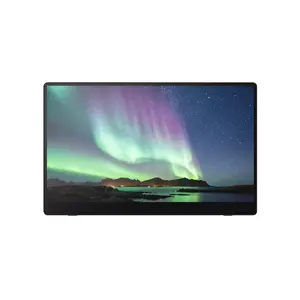 Портативный монитор Ricoh Portable Monitor 150 15.6" LED 1920 x 1080