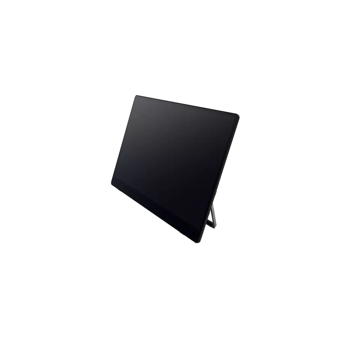 Портативный монитор Ricoh Portable Monitor 150 Photo 6