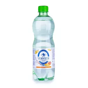 Bezalkoholisks gāzēts dzēriens Tērvete Mango 0,5 l (DEP)