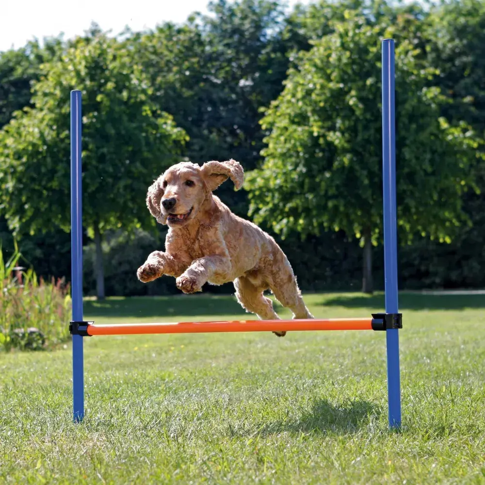 Trixie TX-3207 3 daļu agility šķērslis Photo 2