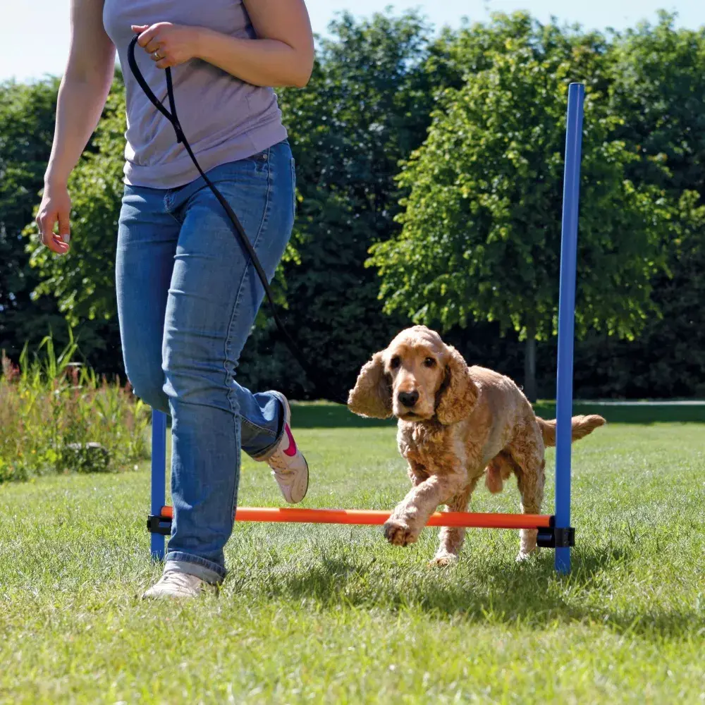 Trixie TX-3207 3 daļu agility šķērslis Photo 3