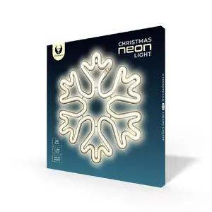 Forever Light Christmas Snowflake LED Decoration Figure White FLNE20 Battery and USB Powered