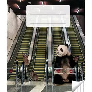 Notebook Victor Stationery OU 100-10463 — 200 x 165 mm, 36 sheets