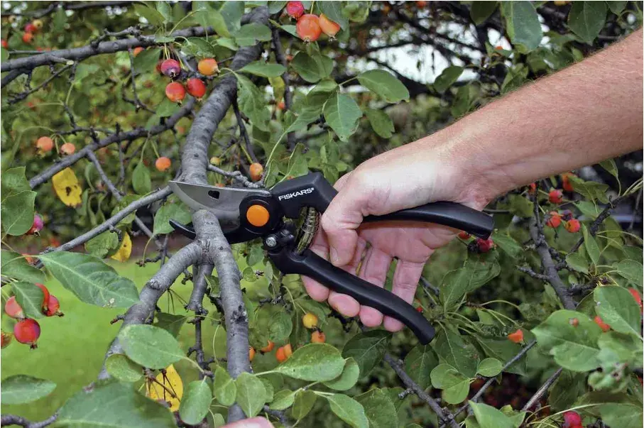 Секатор Fiskars 111960 Photo 2