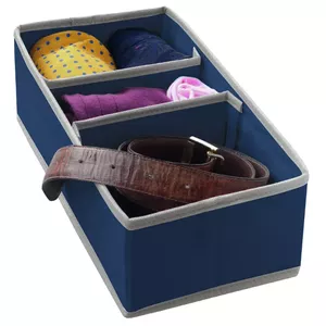 Storage box ORDINETT M 30.5x15.5x10 cm Blue