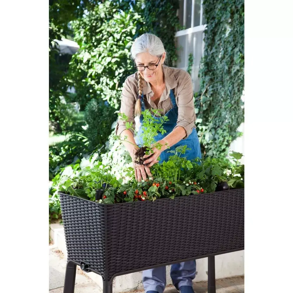 Keter Easy Grow Rattan Waves self-watering planter Photo 3