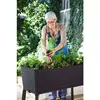 Keter Easy Grow Rattan Waves self-watering planter Photo 3