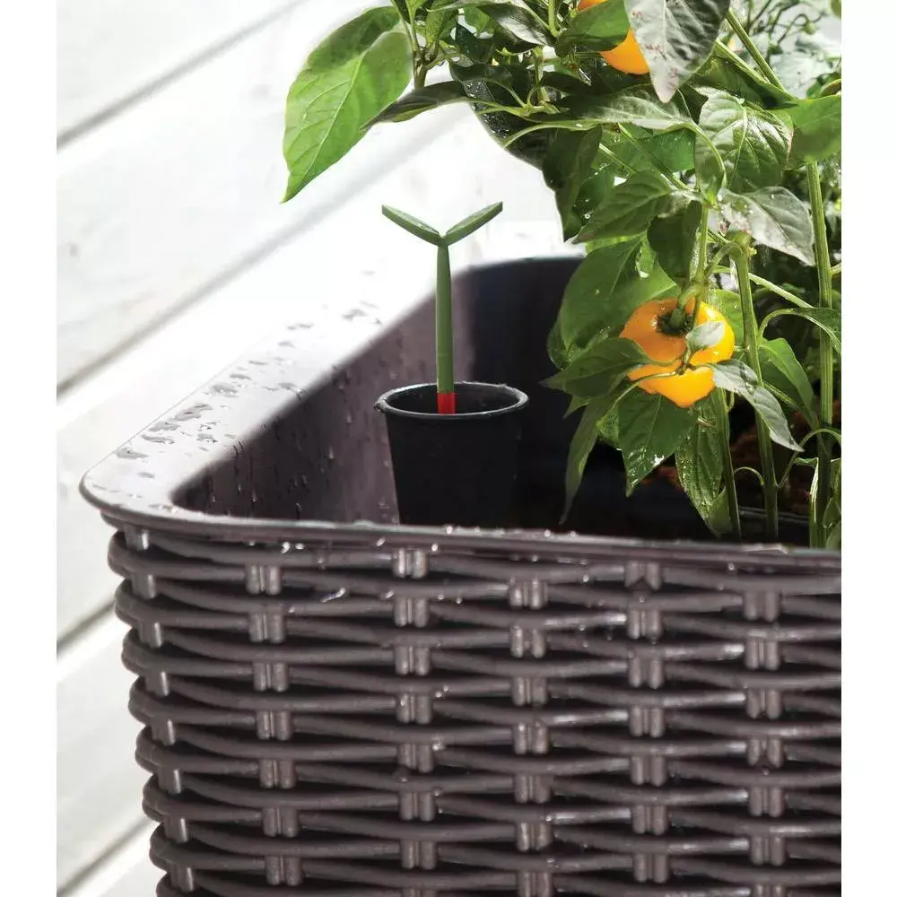 Keter Easy Grow Rattan Waves self-watering planter Photo 5