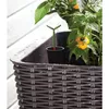 Keter Easy Grow Rattan Waves self-watering planter Photo 5