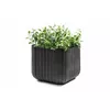 Flowerpot Cube Planter S Keter 29202066939 Photo 3