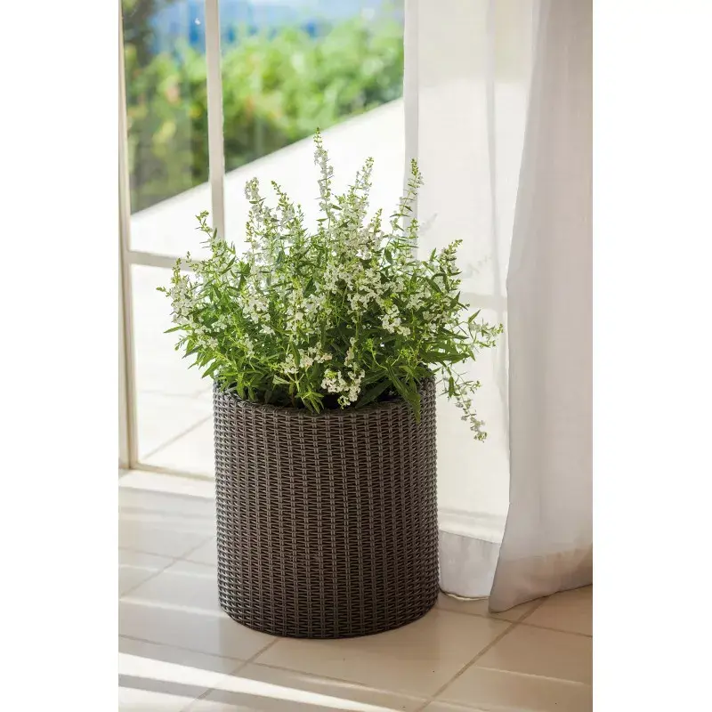 Flower pot Keter Puku pods Small Cylinder Photo 2
