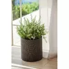 Flower pot Keter Puku pods Small Cylinder Photo 2