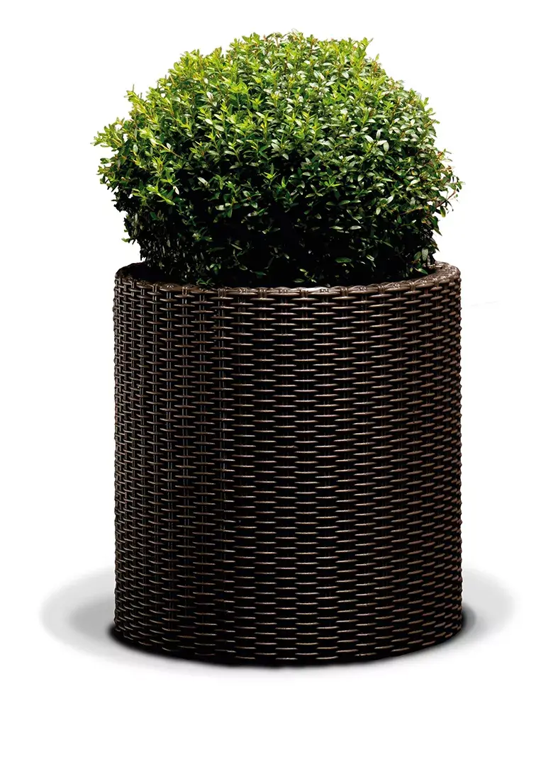 Planter Keter Puku pods Large Cylinder 29197837590 Photo 2