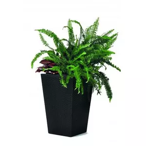 Flowerpot Rattan Planter S 23,6L grey