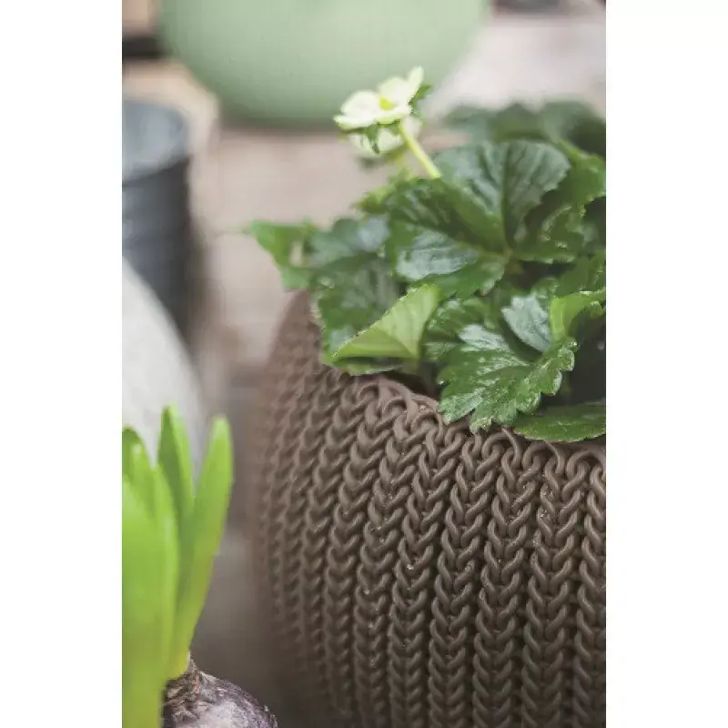 Hanging Flowerpot Keter Cozy M Photo 2